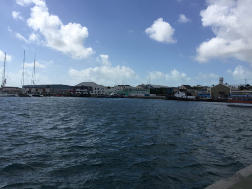 Swimming With Dolphins In The Bahamas - Busy Loving Life